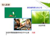 北师大版（2024）七年级生物上册3.4.6植物在生物圈中的作用ppt精品课件