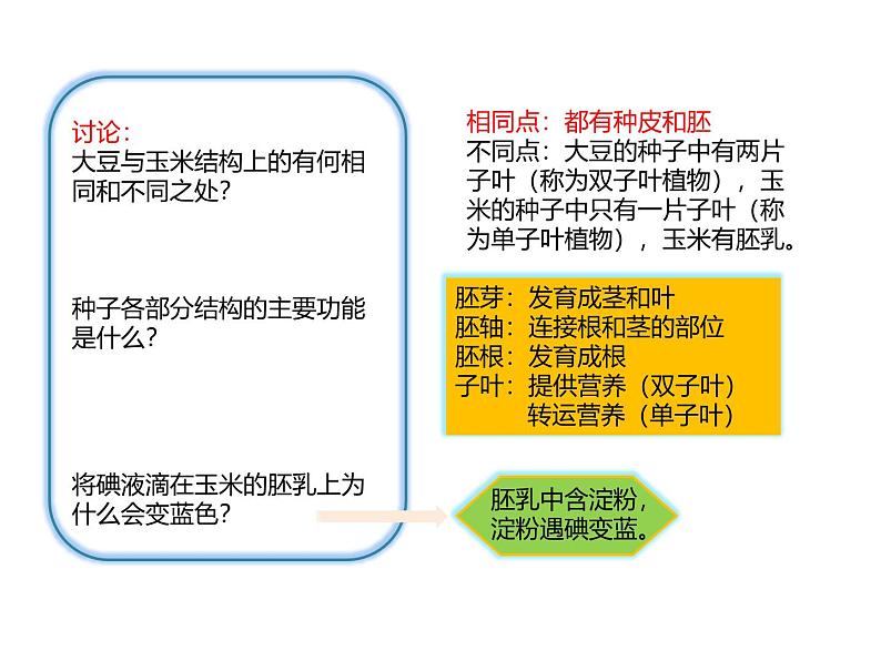 北师大版（2024）七年级生物上册3.5.1种子萌发形成幼苗课件ppt第6页