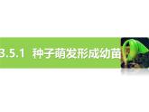 北师大版（2024）七年级生物上册3.5.1种子萌发形成幼苗精品课件ppt