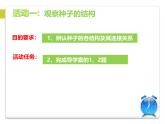 北师大版（2024）七年级生物上册3.5.1种子萌发形成幼苗精品课件ppt