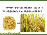 北师大版（2024）七年级生物上册3.5.1种子萌发形成幼苗精品课件