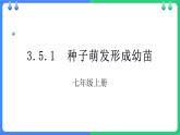北师大版（2024）七年级生物上册3.5.1种子萌发形成幼苗ppt课件