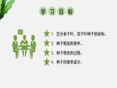北师大版（2024）七年级生物上册3.5.1种子萌发形成幼苗ppt精品课件
