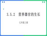 北师大版（2024）七年级生物上册3.5.2营养器官的生长课件