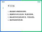 北师大版（2024）七年级生物上册3.5.2营养器官的生长课件