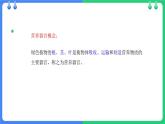 北师大版（2024）七年级生物上册3.5.2营养器官的生长课件