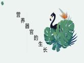 北师大版（2024）七年级生物上册3.5.2营养器官的生长精品ppt课件