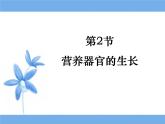 北师大版（2024）七年级生物上册3.5.2营养器官的生长ppt课件
