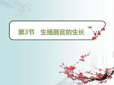 北師大版（2024）七年級(jí)生物上冊(cè)3.5.3生殖器官的生長(zhǎng)課件