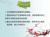 北師大版（2024）七年級(jí)生物上冊(cè)3.5.3生殖器官的生長(zhǎng)課件