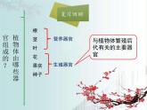北師大版（2024）七年級(jí)生物上冊(cè)3.5.3生殖器官的生長(zhǎng)課件