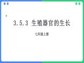 北師大版（2024）七年級(jí)生物上冊(cè)3.5.3生殖器官的生長(zhǎng)精品課件