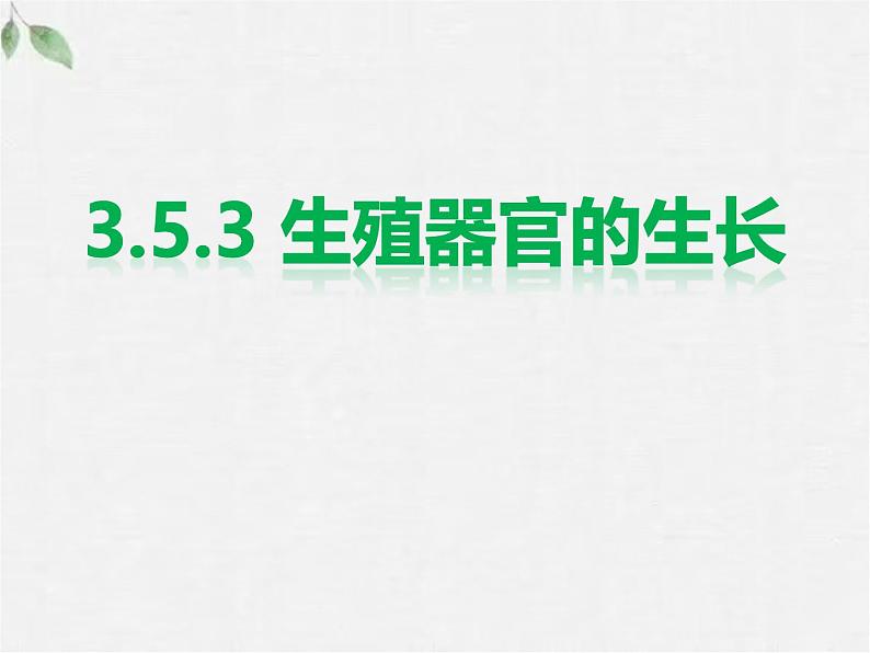 北师大版（2024）七年级生物上册3.5.3生殖器官的生长精品ppt课件第1页