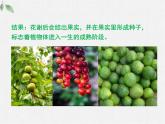 北師大版（2024）七年級(jí)生物上冊(cè)3.5.3生殖器官的生長(zhǎng)精品ppt課件