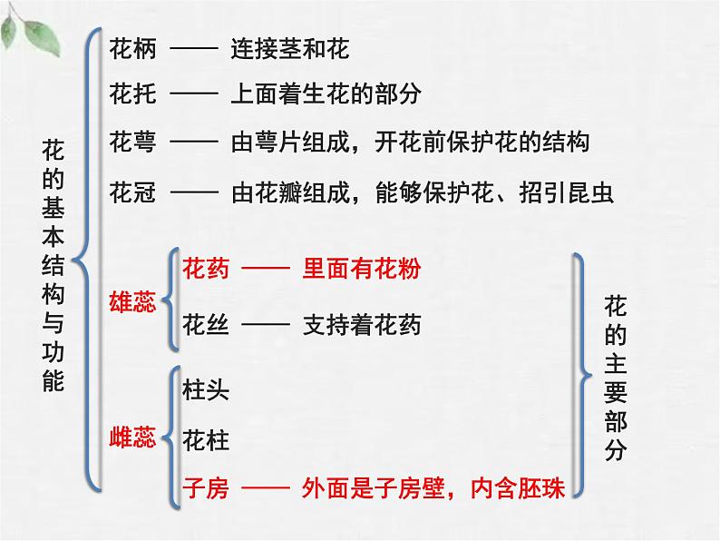 北师大版（2024）七年级生物上册3.5.3生殖器官的生长精品ppt课件第6页