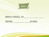 北師大版（2024）七年級(jí)生物上冊(cè)3.5.3生殖器官的生長(zhǎng)ppt課件