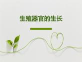 北師大版（2024）七年級(jí)生物上冊(cè)3.5.3生殖器官的生長(zhǎng)ppt精品課件