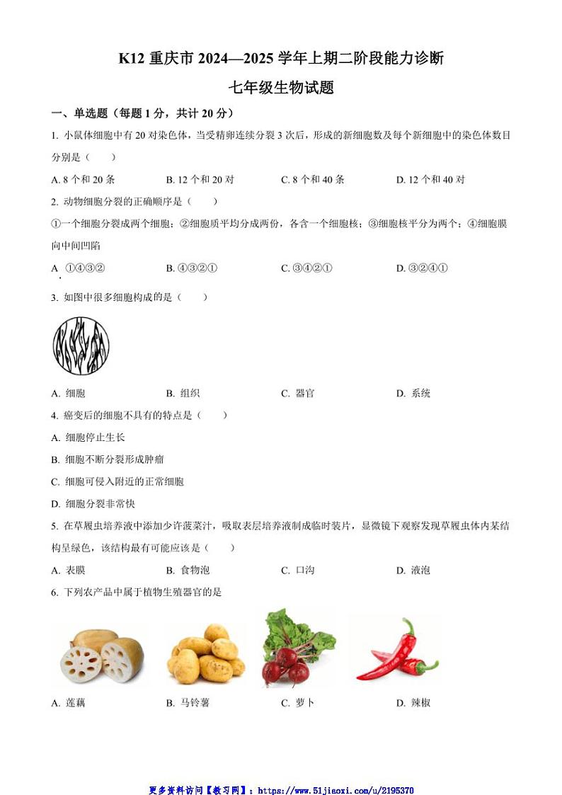 2024～2025学年重庆市巴南区市实验教育集团七年级(上)12月月考生物试卷(含答案)第1页