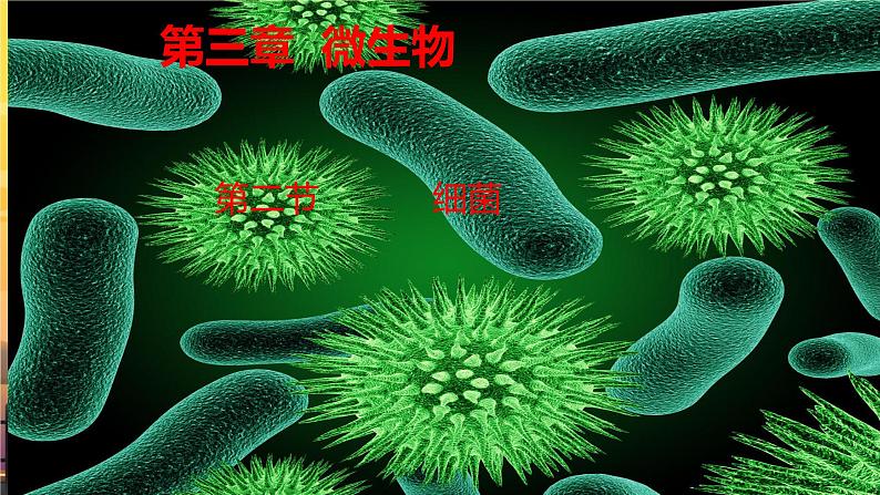 初中  生物  人教版（2024）  七年级上册第二节 细菌 课件第1页