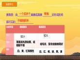 初中  生物  人教版（2024）  七年级上册第二节 细菌 课件