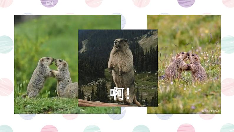 初中  生物  人教版（2024）  七年级上册第二节 细菌 课件第2页