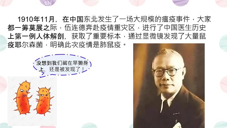 初中  生物  人教版（2024）  七年级上册第二节 细菌 课件第3页