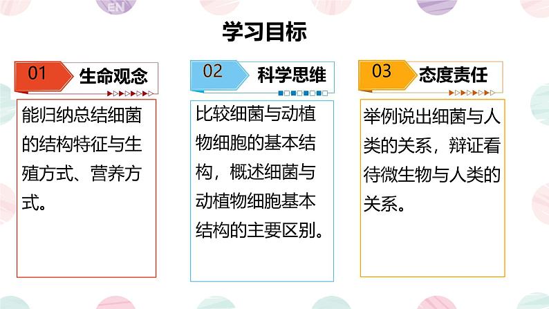 初中  生物  人教版（2024）  七年级上册第二节 细菌 课件第4页