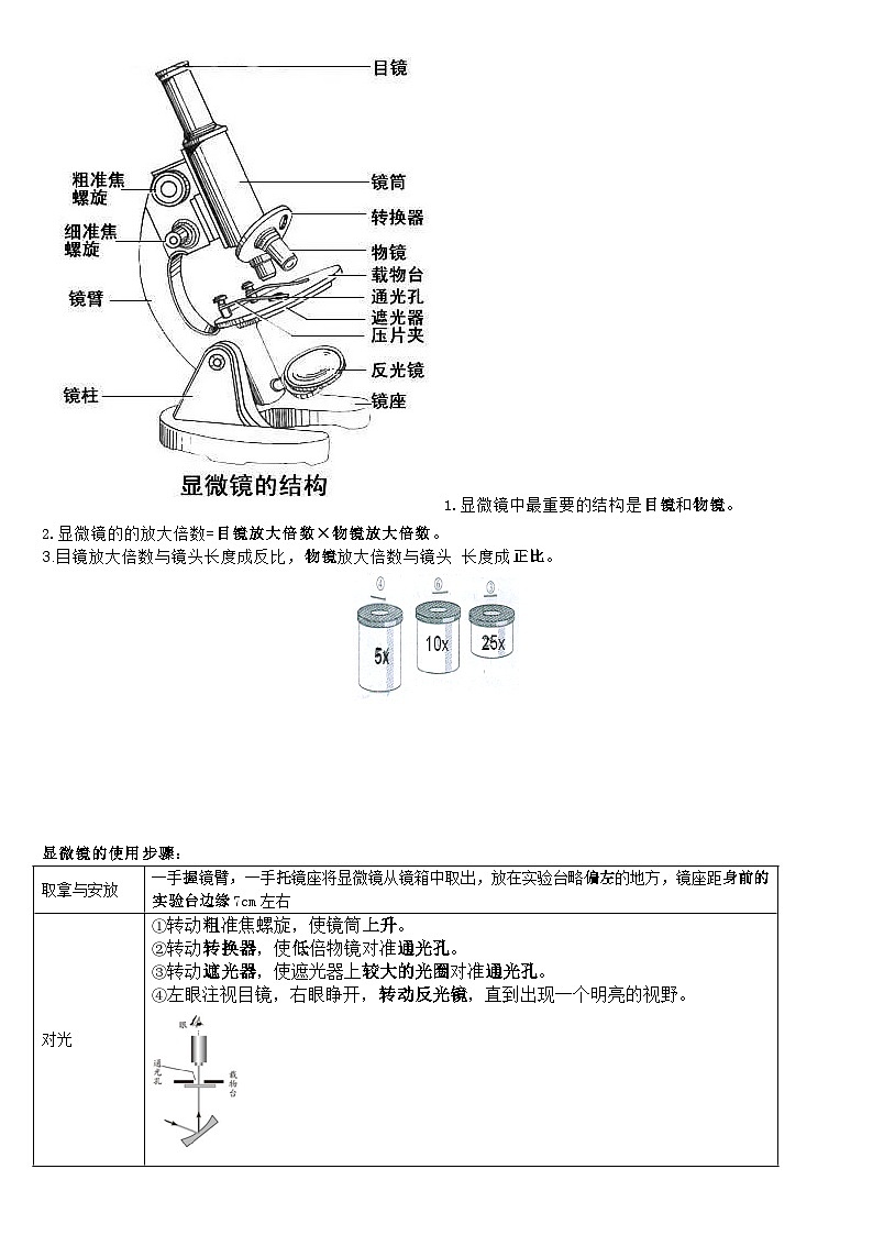 济南版初中生物七上知识点第2页