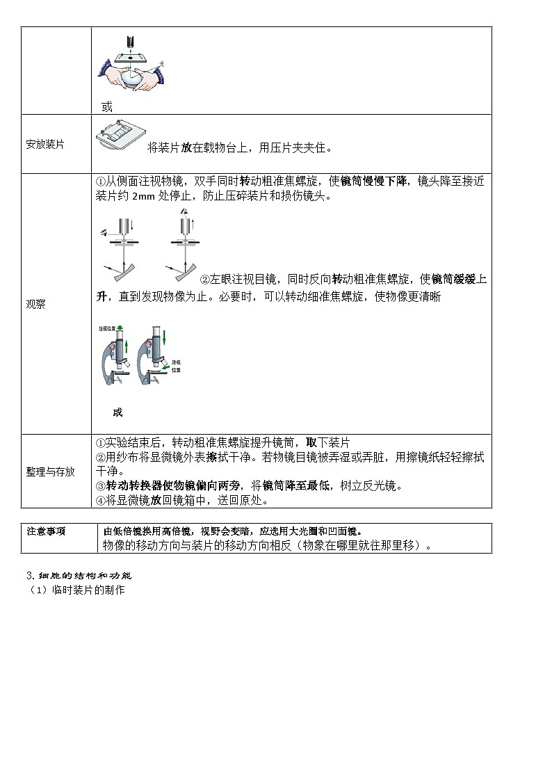 济南版初中生物七上知识点第3页
