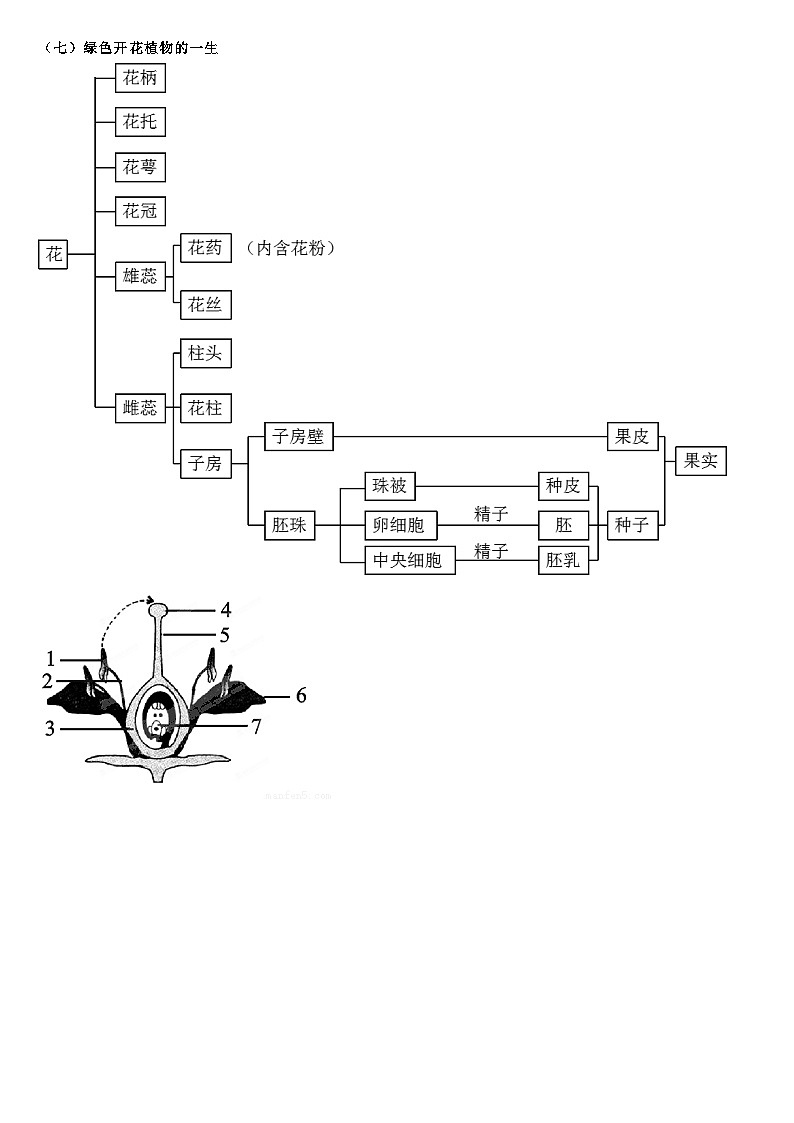 济南版初中生物八上知识点第1页
