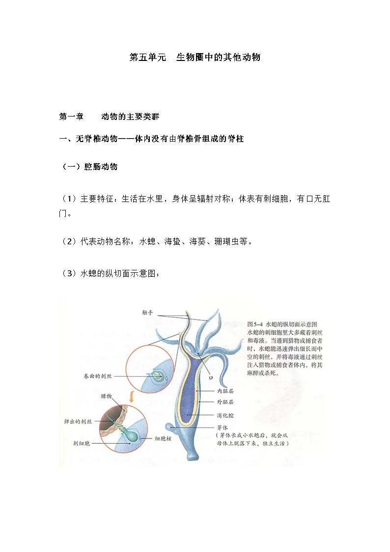 人教版初中生物八年级上册知识梳理第1页
