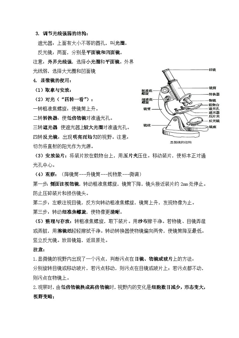 济南版（2024新版）七年级上册生物期末复习提纲 学案第3页