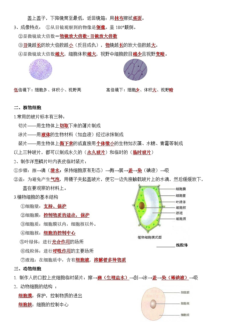 人教版（2024新版）七年级上册生物期末复习知识点考点提纲 学案第2页