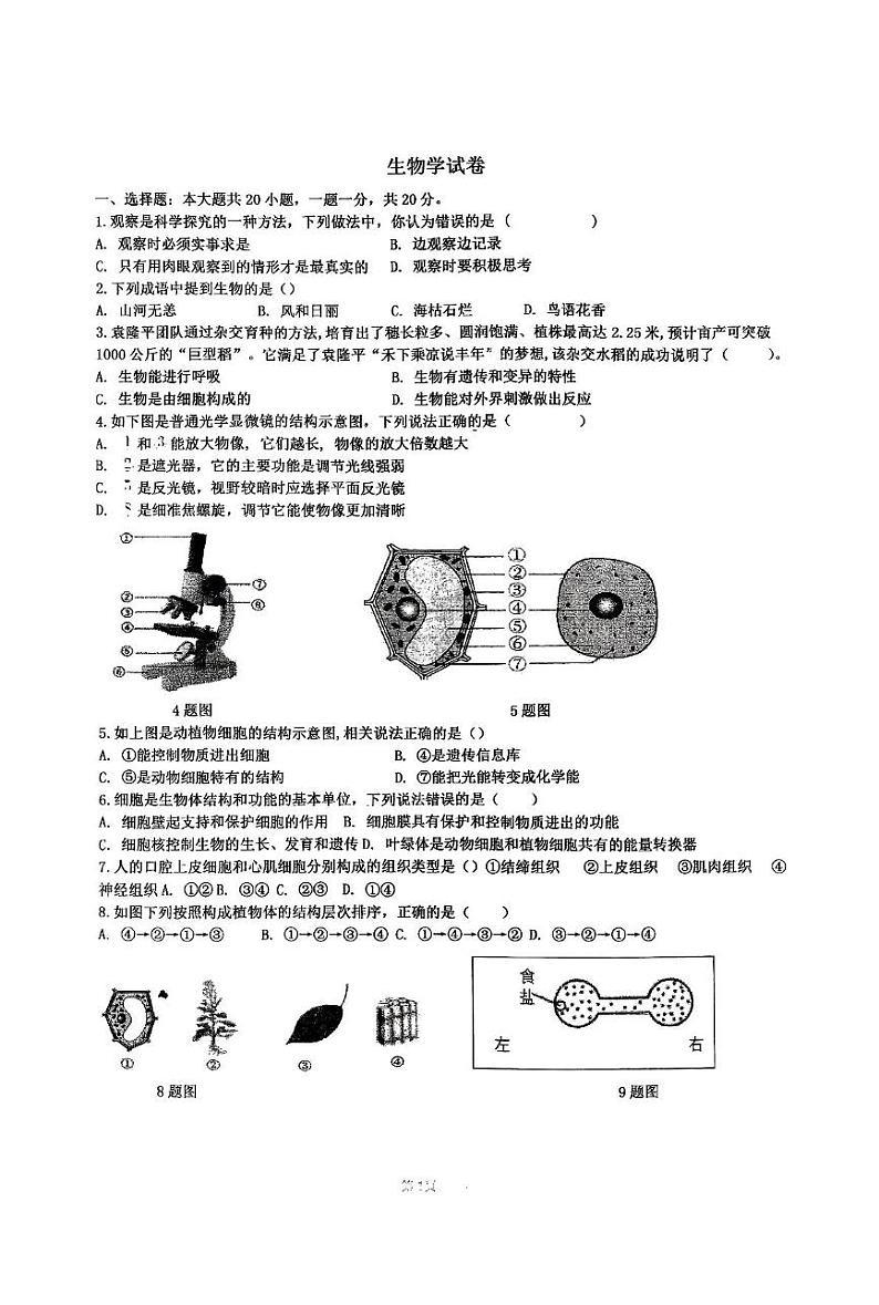 河南省信阳市息县培优适应性测试2024-2025学年七年级上学期12月月考生物试题第1页