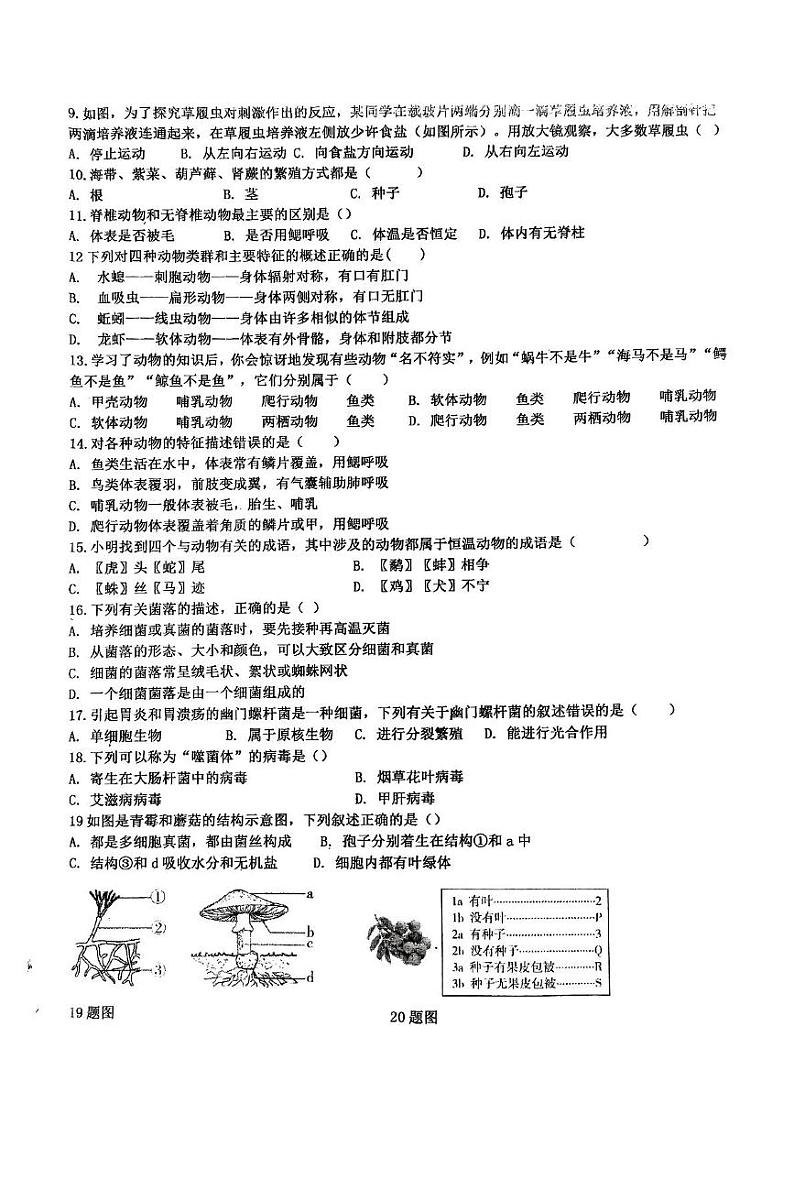 河南省信阳市息县培优适应性测试2024-2025学年七年级上学期12月月考生物试题第2页