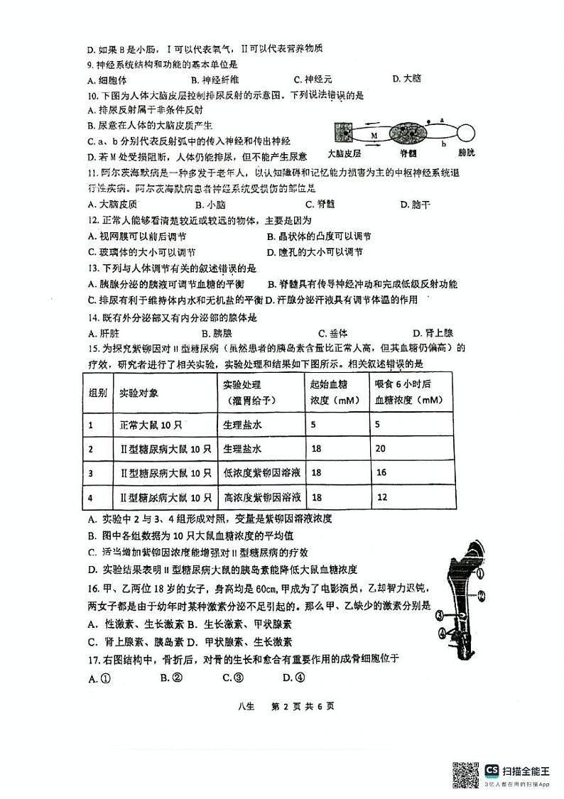 江苏省泰州市靖江市滨江学校2024-2025学年八年级上学期12月月考生物试题第2页