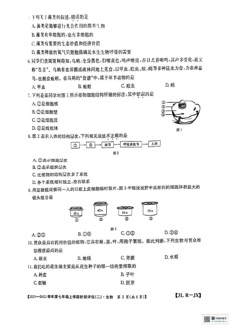 江西省赣州市龙南市2024-2025学年七年级上学期12月月考生物试题第2页