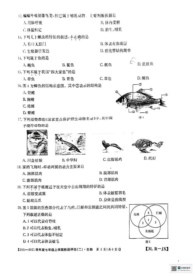 江西省赣州市龙南市2024-2025学年七年级上学期12月月考生物试题第3页