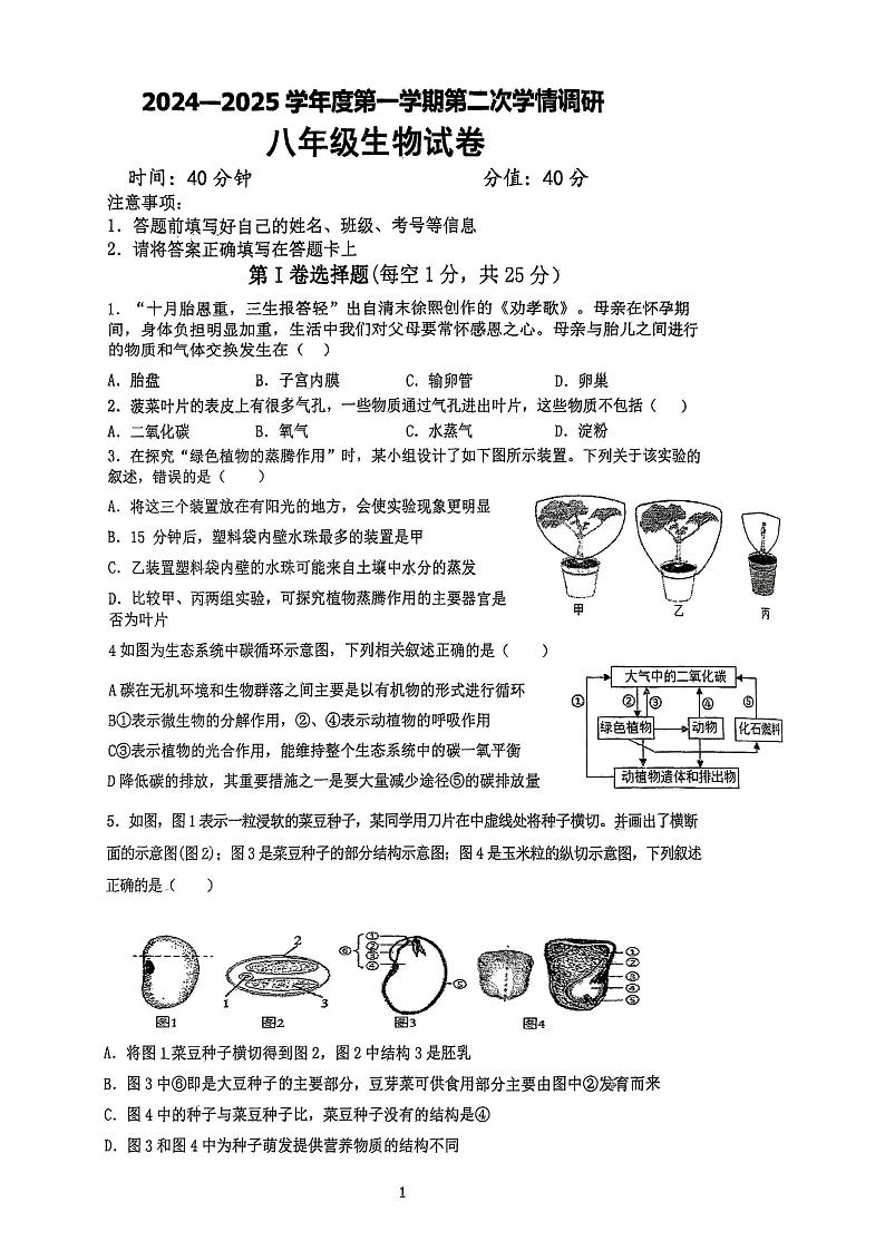 江苏省徐州市沛县汉城文昌学校2024-2025学年八年级上学期12月月考生物试题第1页