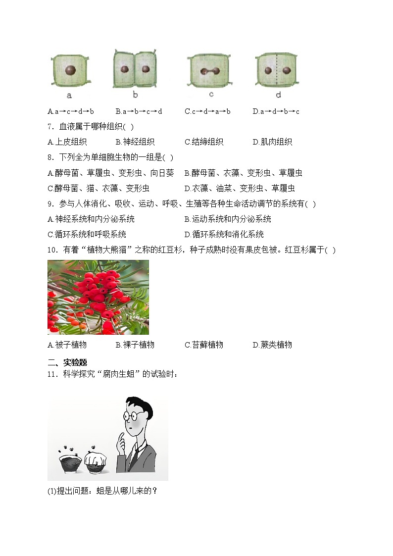 甘肃省金昌市永昌县2024-2025学年七年级上学期11月期中考试生物试卷(含答案)第2页