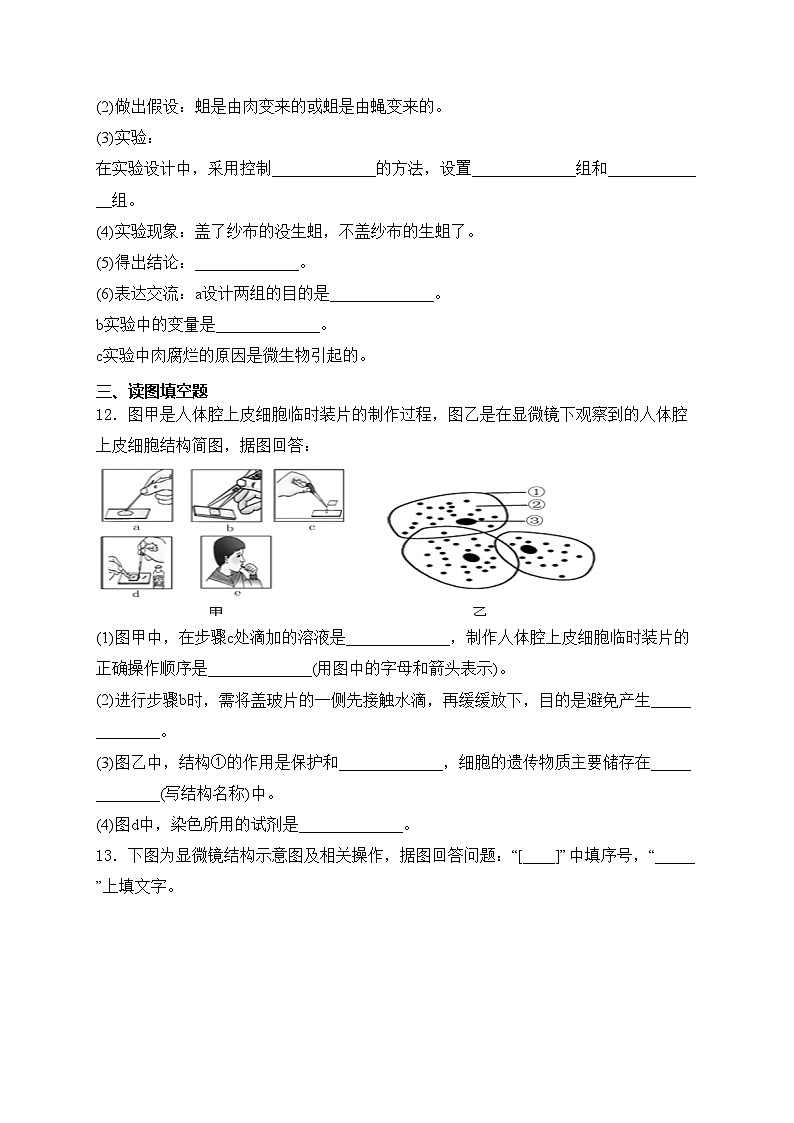 甘肃省金昌市永昌县2024-2025学年七年级上学期11月期中考试生物试卷(含答案)第3页