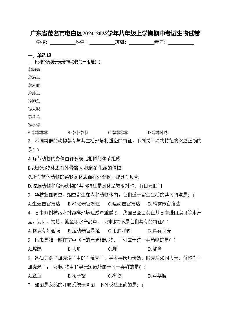 广东省茂名市电白区2024-2025学年八年级上学期期中考试生物试卷(含答案)第1页