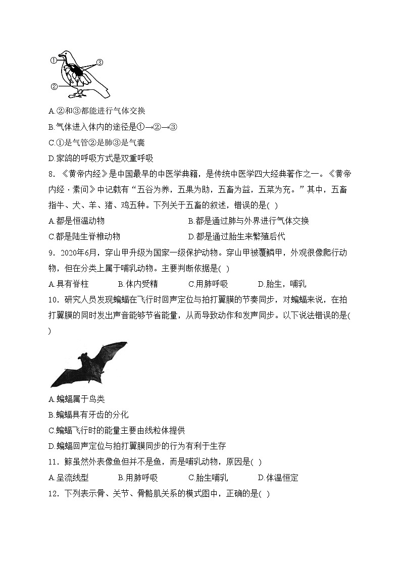 广东省茂名市电白区2024-2025学年八年级上学期期中考试生物试卷(含答案)第2页