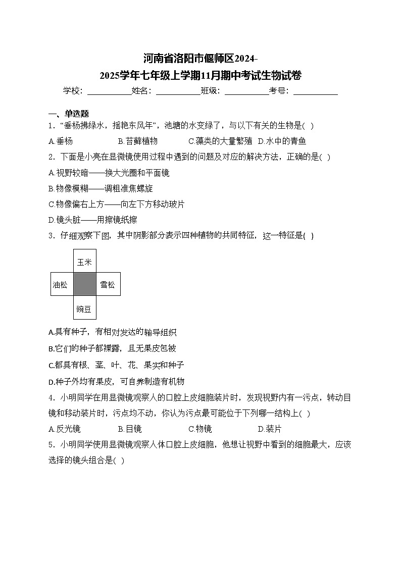 河南省洛阳市偃师区2024-2025学年七年级上学期11月期中考试生物试卷(含答案)第1页