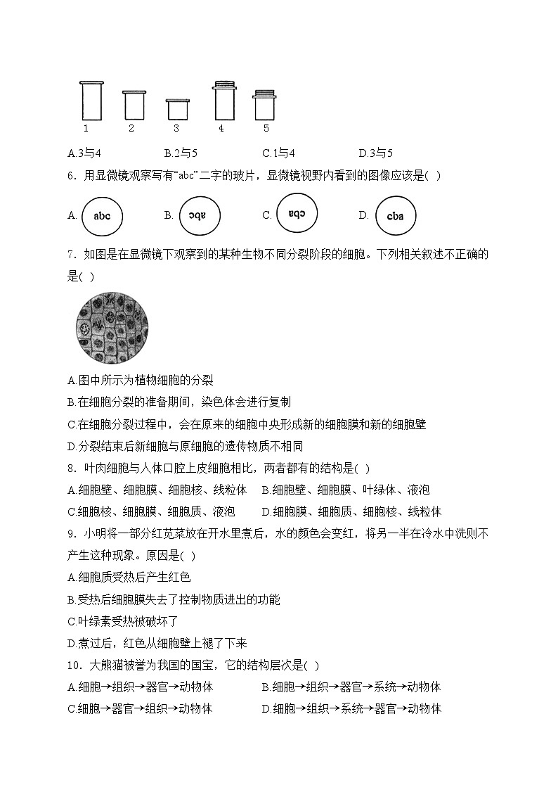 河南省洛阳市偃师区2024-2025学年七年级上学期11月期中考试生物试卷(含答案)第2页