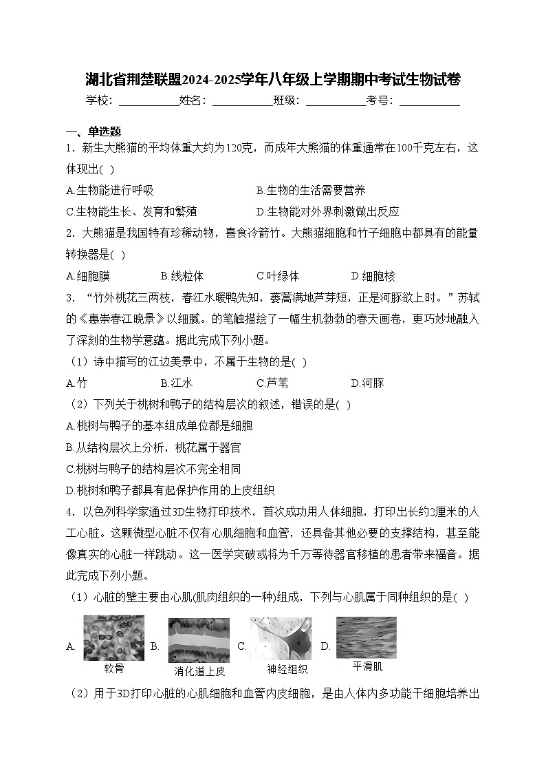 湖北省荆楚联盟2024-2025学年八年级上学期期中考试生物试卷(含答案)第1页