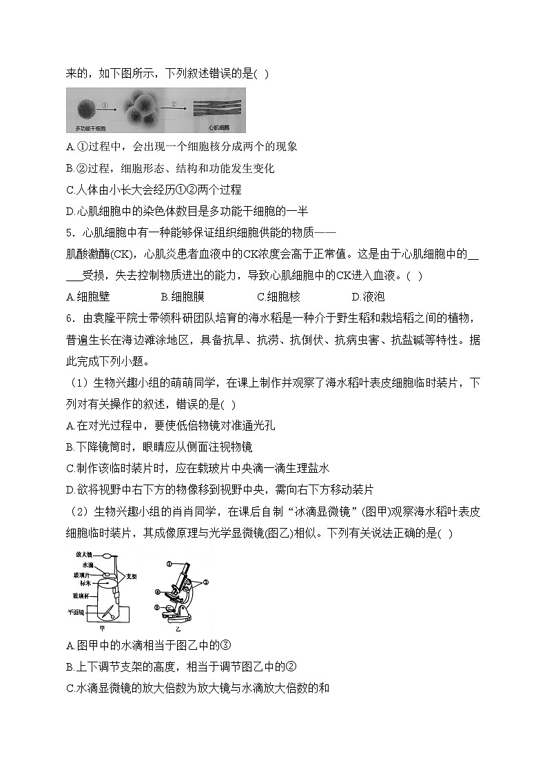 湖北省荆楚联盟2024-2025学年八年级上学期期中考试生物试卷(含答案)第2页