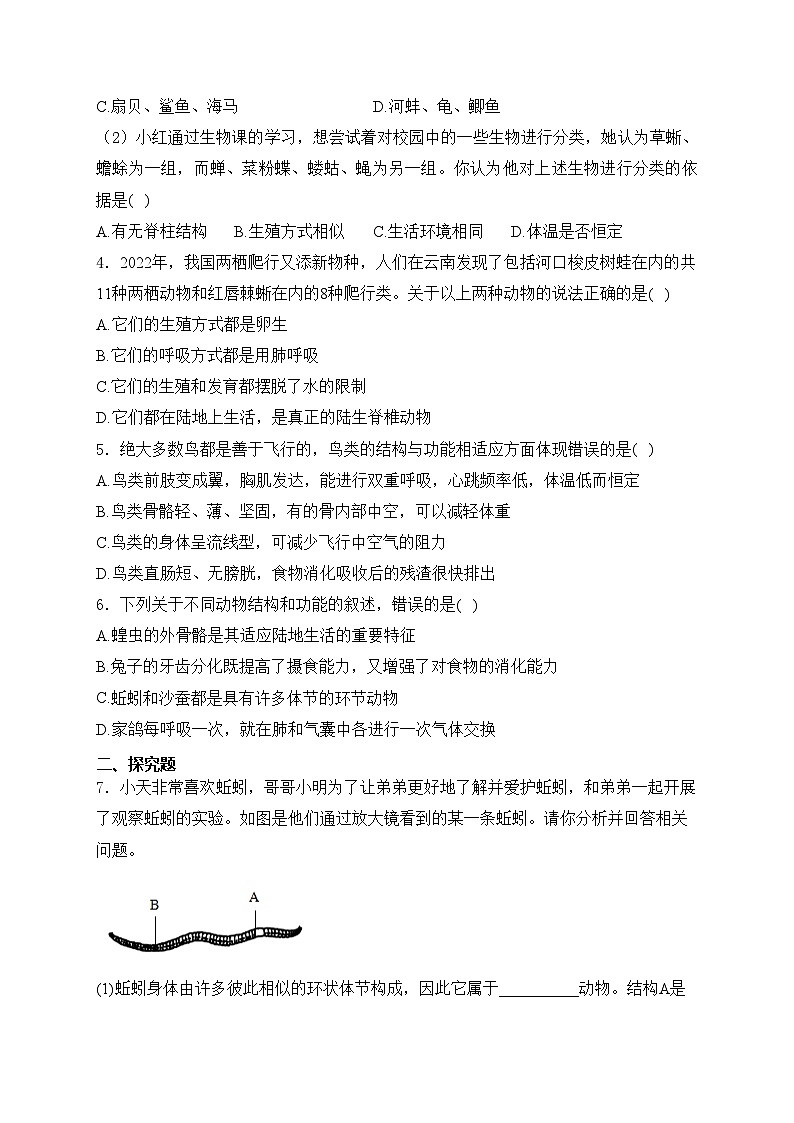 湖北省荆州市2024-2025学年八年级（10月）月考生物试卷(含答案)第2页