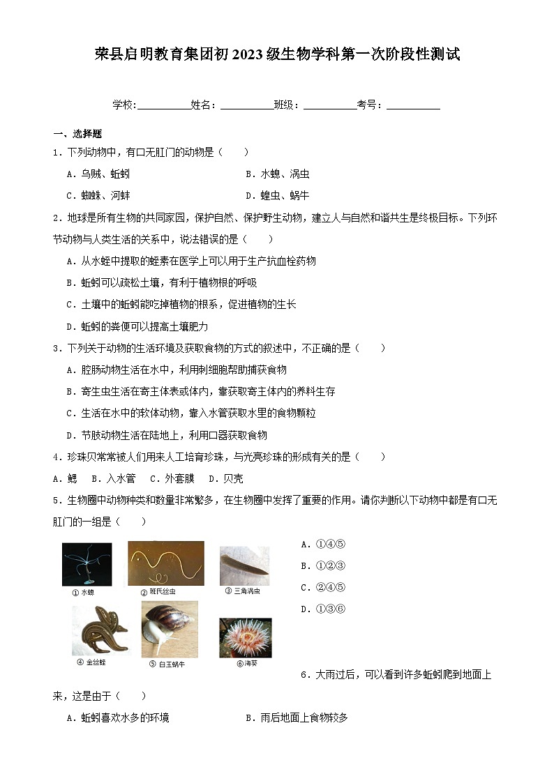 四川省自贡市荣县启明教育集团2024-2025学年八年级上学期第一次月考生物试题-A4第1页
