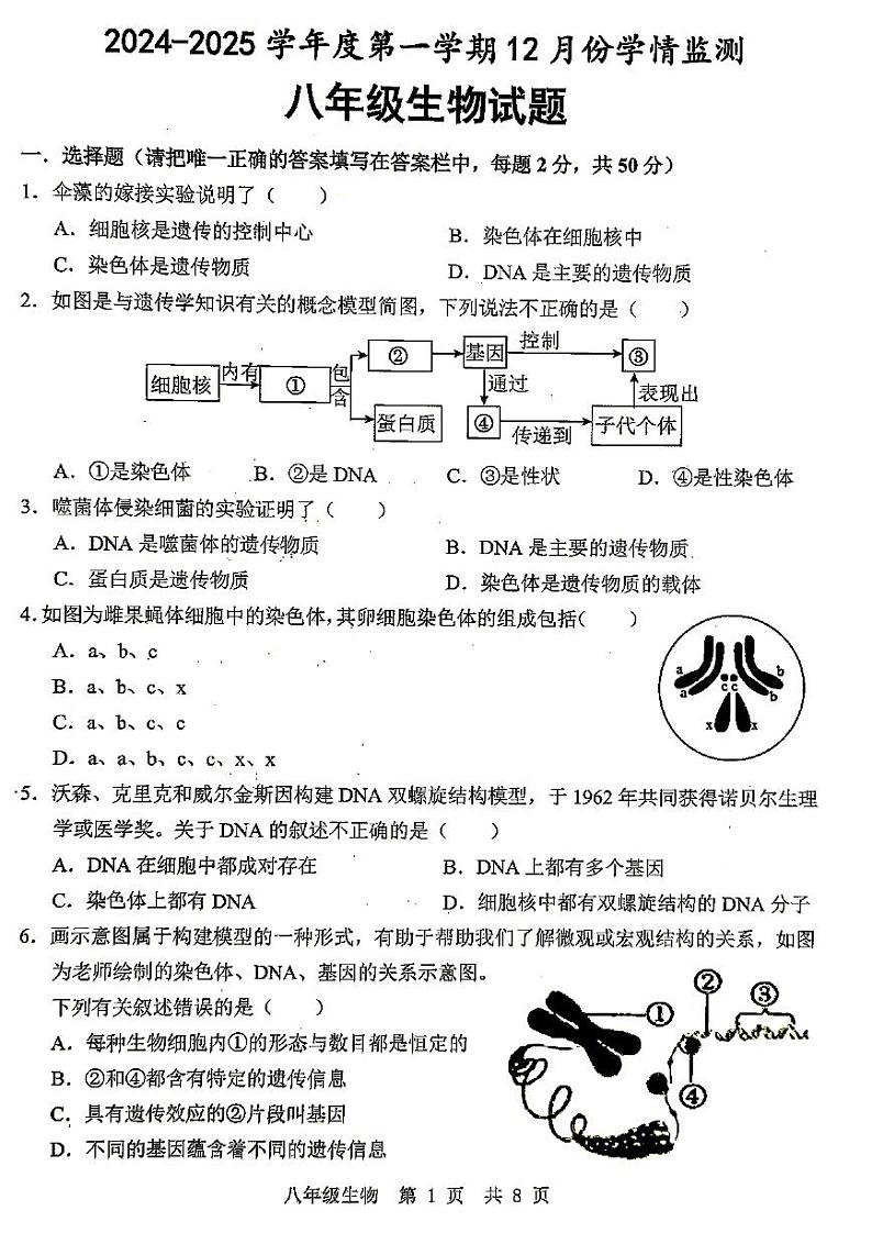 山东省济宁市金乡县2024-2025学年八年级上学期12月月考生物试题第1页